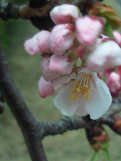 201004020708000