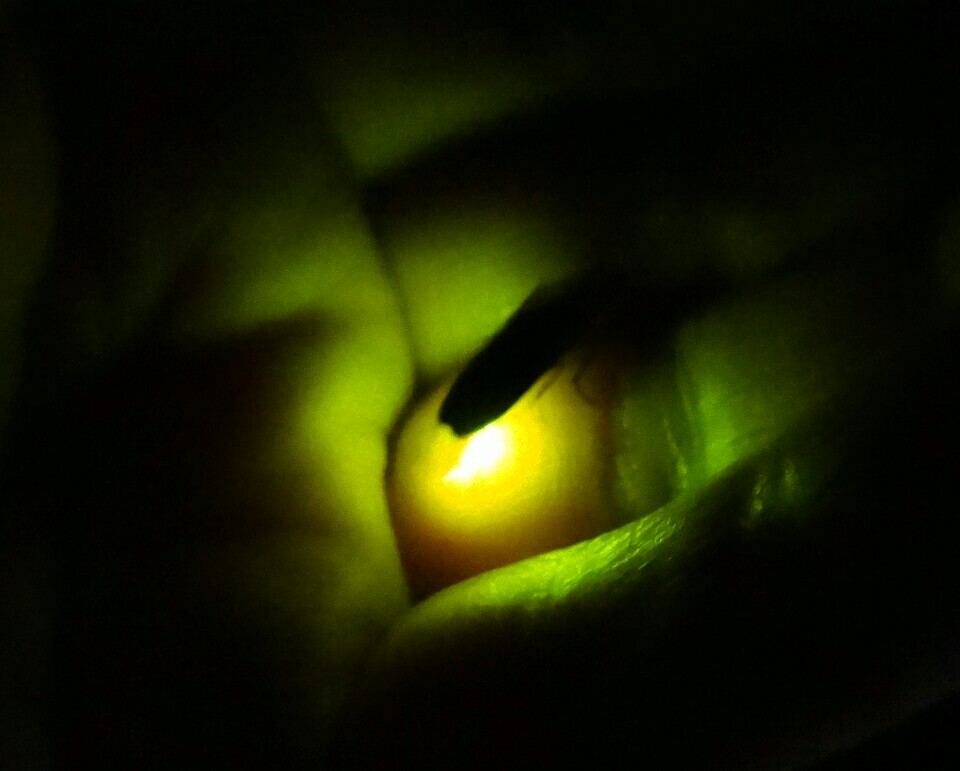 20140613_4