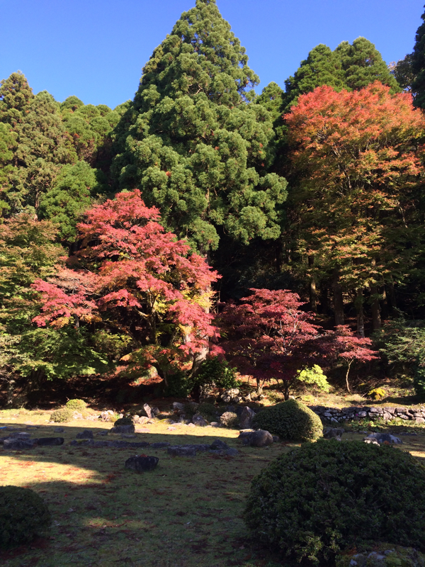 20151105_23