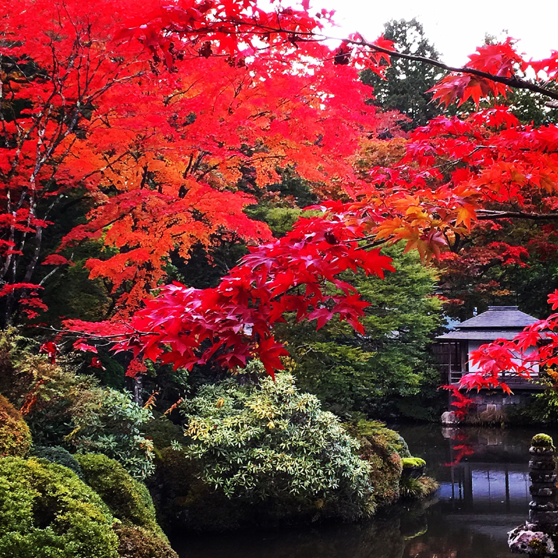 20151105_9