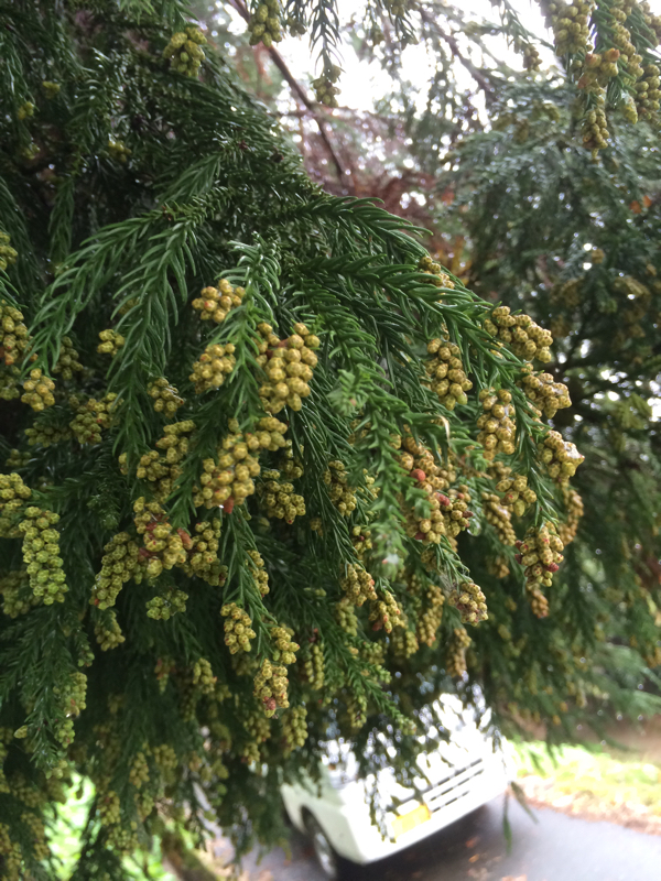 20151126_12