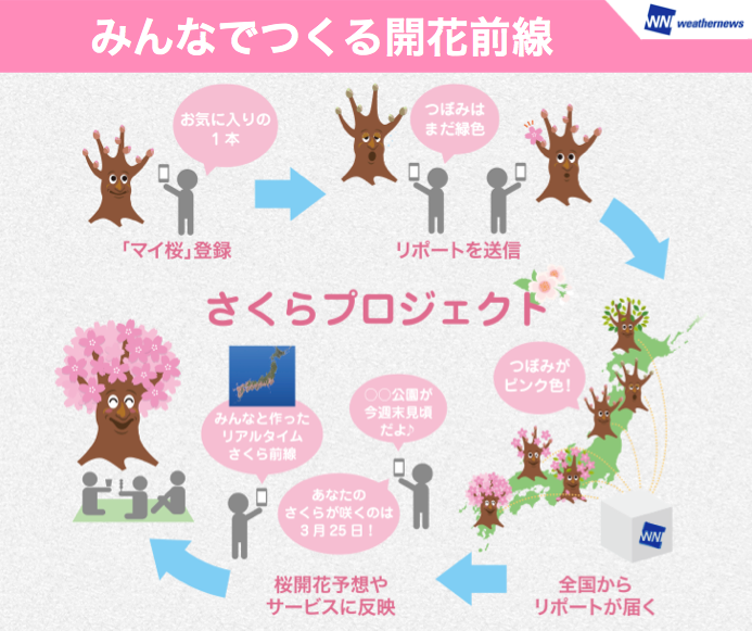 サポーターと作る桜情報「さくらプロジェクト」