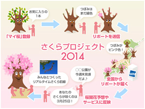 sakura_project