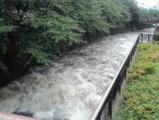 20130726_20