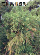 20131030_k4