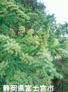 20131030_k5