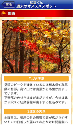 20131114_1