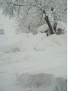 20141222wxfile_11