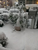 20141222wxfile_21