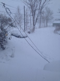 20141222wxfile_9