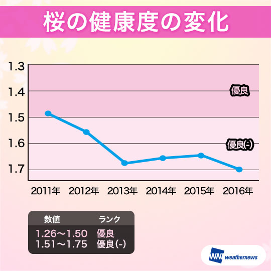 sakurashindan2016_7-2