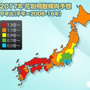 来春の花粉飛散量は、全国平均で平年の1.2倍、今年の4.3倍に