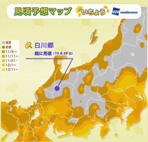 13_koyomap_yellow_chubu_sr