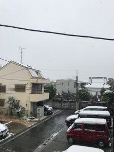11:30 東京都中野区 54年ぶりの11月の東京初雪。ホントに手がかじかむほど寒いです。1時間ほど前はかなりの雪でしたが、今は雨を多く含んだみぞれになっています。