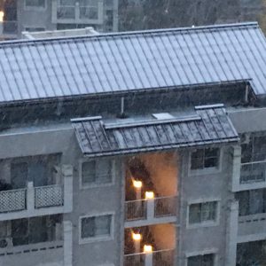 11月24日、東京都心で異例の積雪