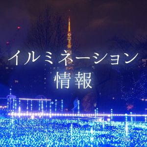 簡単検索で冬のお出かけをサポート！『イルミネーション情報』公開