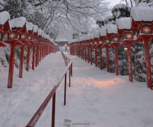 1月14〜16日、記録的寒気による広島・京都・三重の積雪について
