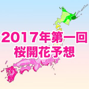 西〜東日本では例年並〜やや遅く、北日本は例年並〜やや早い予想