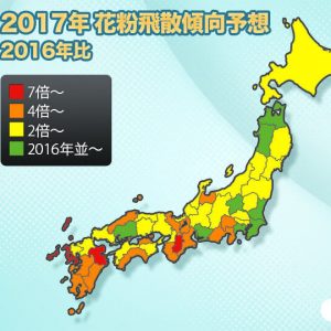 【第五回花粉飛散傾向】西〜東日本はまもなくヒノキ花粉のピークへ！東北はスギ花粉のピーク