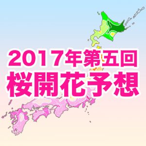 【第五回桜開花予想】九州～関東の桜は週末にかけて続々開花！来週はお花見ウイークに