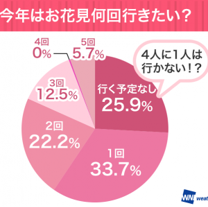 【お花見調査2017】4人に1人はお花見行かない!?花粉や仕事、人ごみ苦手がその理由