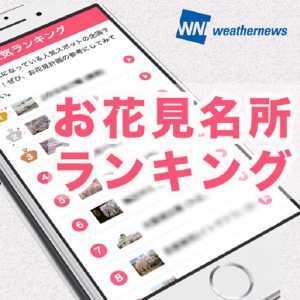 全国お花見700名所、人気ランキング1位は上野恩賜公園（東京）