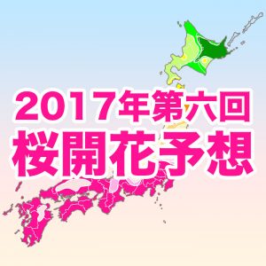 【第六回桜開花予想】関東南部は5日(水)が絶好のお花見日和！週末は桜に試練の雨風