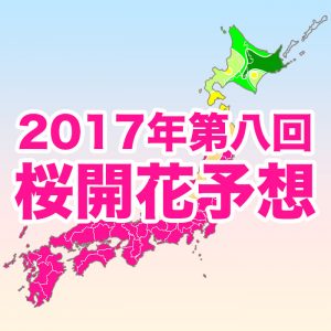 【第八回桜開花予想】今週いよいよ青森・弘前公園が開花！GWは北海道で桜の季節に