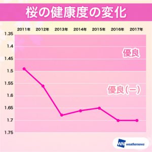 【桜の健康診断2017】桜の健康状態は昨年に引き続き過去最悪、樹勢の衰退傾向が続く