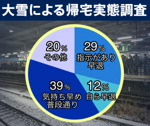 1月22日、南岸低気圧に伴う関東地方の大雪