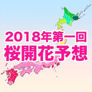 【第一回桜開花予想】東京など5都市で3/22に桜開花！西・東日本は例年並の開花に