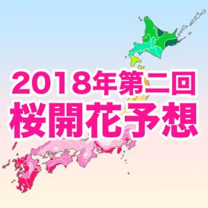 【第二回桜開花予想】東京・福岡が桜開花一番乗り、西・東日本は例年並〜やや遅い開花に