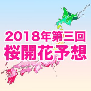【第三回桜開花予想】東京・福岡が桜開花一番乗り、西・東日本は例年並〜やや遅い開花に