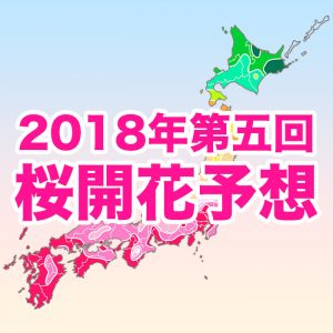【第五回桜開花予想】今週末にも東京ほか7県で桜が開花！春の陽気で各地の予想早まる