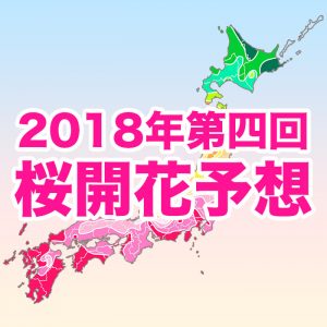 【第四回桜開花予想】東京・福岡が桜開花一番乗り、西・東日本は例年並〜やや早い開花に