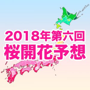 【第六回桜開花予想】九州〜関東の桜は週後半に続々開花！早い所は今週末にお花見OK