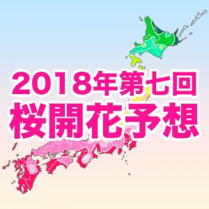 【第七回桜開花予想】西・東日本の桜は見頃ピーク！絶好のお花見日和が続く一週間