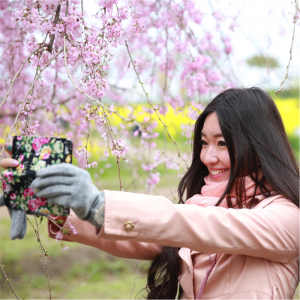 【お花見調査2018】女性の5人に1人が“ひとり花見”好き！男性より“花見酒”を好む傾向に