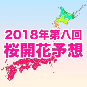 【第八回桜開花予想】西・東日本のお花見は5日(木)まで！春の嵐で週末には葉桜に