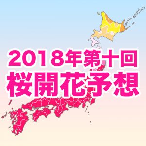 【第十回桜開花予想】青森・弘前公園がまもなく開花！GWは北海道で見頃、お花見日和に