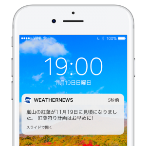 紅葉の色づき開始・見頃到来をお知らせ！紅葉スポット通知登録開始