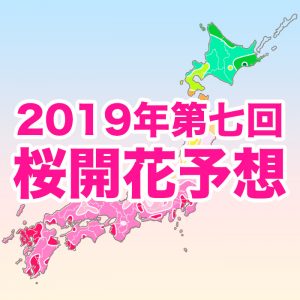 【第七回桜開花予想】関東南部や九州の桜がいよいよ満開！週末のお花見は花冷え対策を
