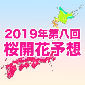 【第八回桜開花予想】西・東日本の桜は見頃ピーク！花冷え後、週末は絶好のお花見日和に