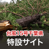 ウェザーニューズ「2019年台風15号千葉県特設サイト」を臨時開設