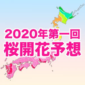 【第一回桜開花予想】桜開花トップは東京で3/21！全国的に例年並も、九州南部は暖冬で開花に遅れ