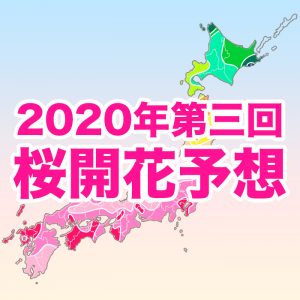 【第三回桜開花予想】開花トップは東京・福岡で3/16！東京は観測史上最も早い開花と並ぶ早さ