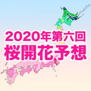 【第六回桜開花予想】西・東日本の桜は今週末から続々開花！東京都内は来週にも満開へ