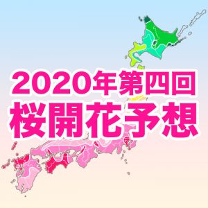 【第四回桜開花予想】開花トップは東京・福岡で3/16！東京は観測史上最も早い開花と並ぶ早さ