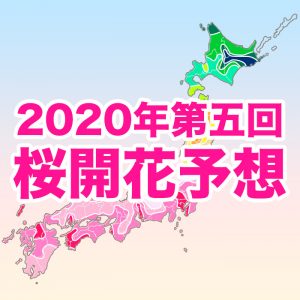 【第五回桜開花予想】来週は関東や九州北部で桜開花！東京都心は3/17予想