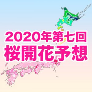 【第七回桜開花予想】西・東日本の桜は開花ラッシュ！関東の桜はいよいよ満開へ